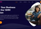 The Best and Cheapest SMM Provider in Nigeria