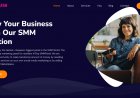 InstaFan: The Best and Cheapest SMM Provider in Nigeria