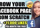 How to Grow Your Facebook Page Faster